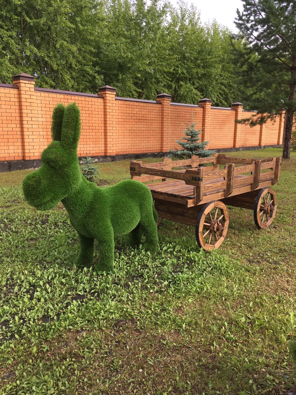 Комарова