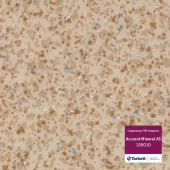 MINERAL AS 010