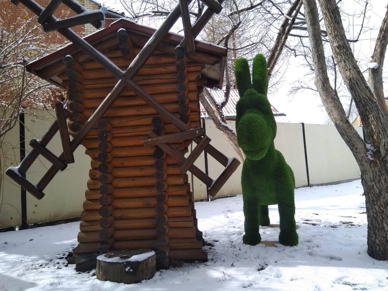 Комарова
