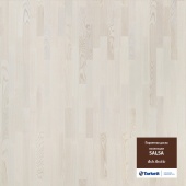 SALSA ASH ARCTIC