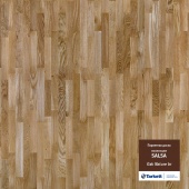 SALSA OAK NATURE BR