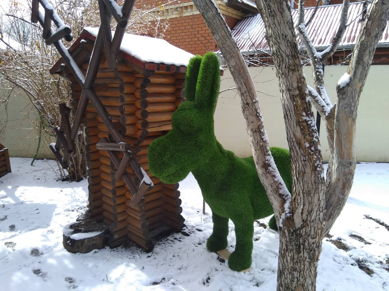 Комарова