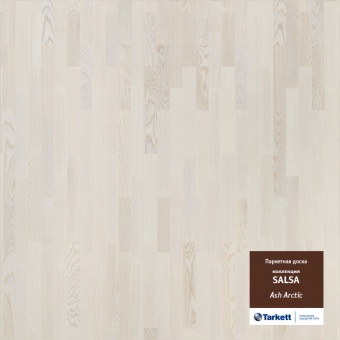 SALSA ASH ARCTIC